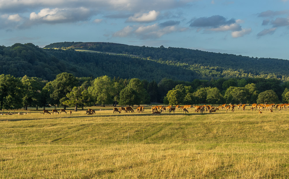 Baslow Edge